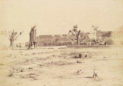 Karge Landschaft mit einer unbekannten Festung, Delhi von Charles Moravia